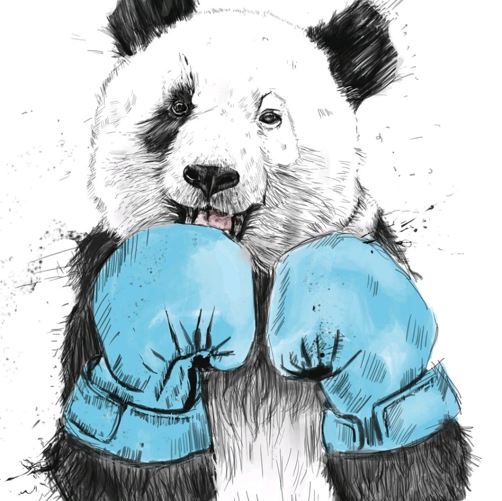 Meet your Posher, Phyllis